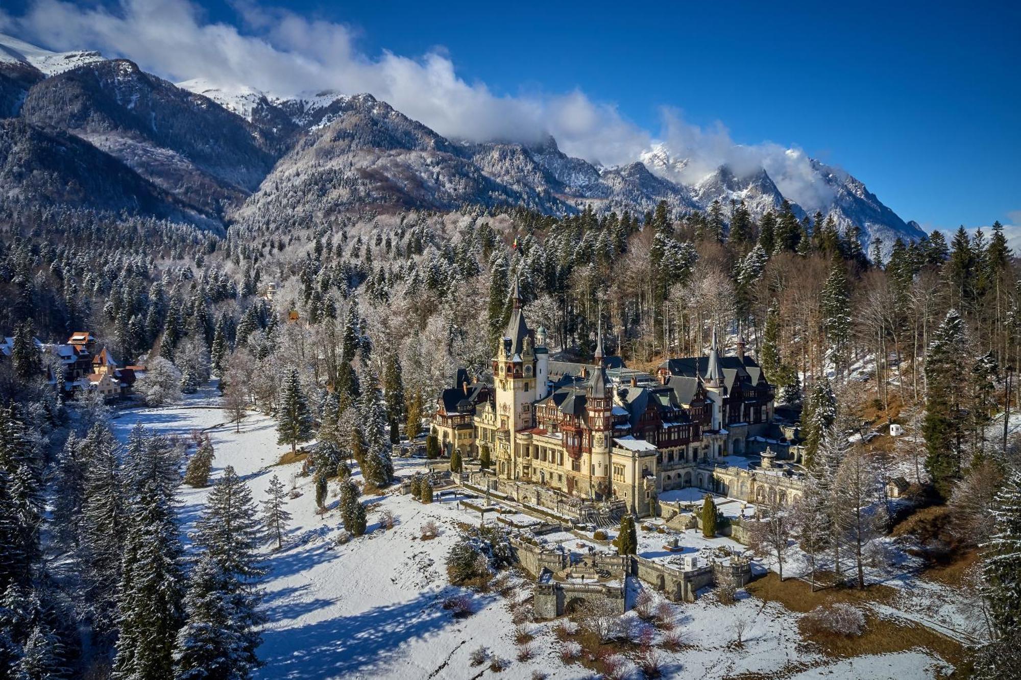 The Cozy Deer Apartment Sinaia Eksteriør billede